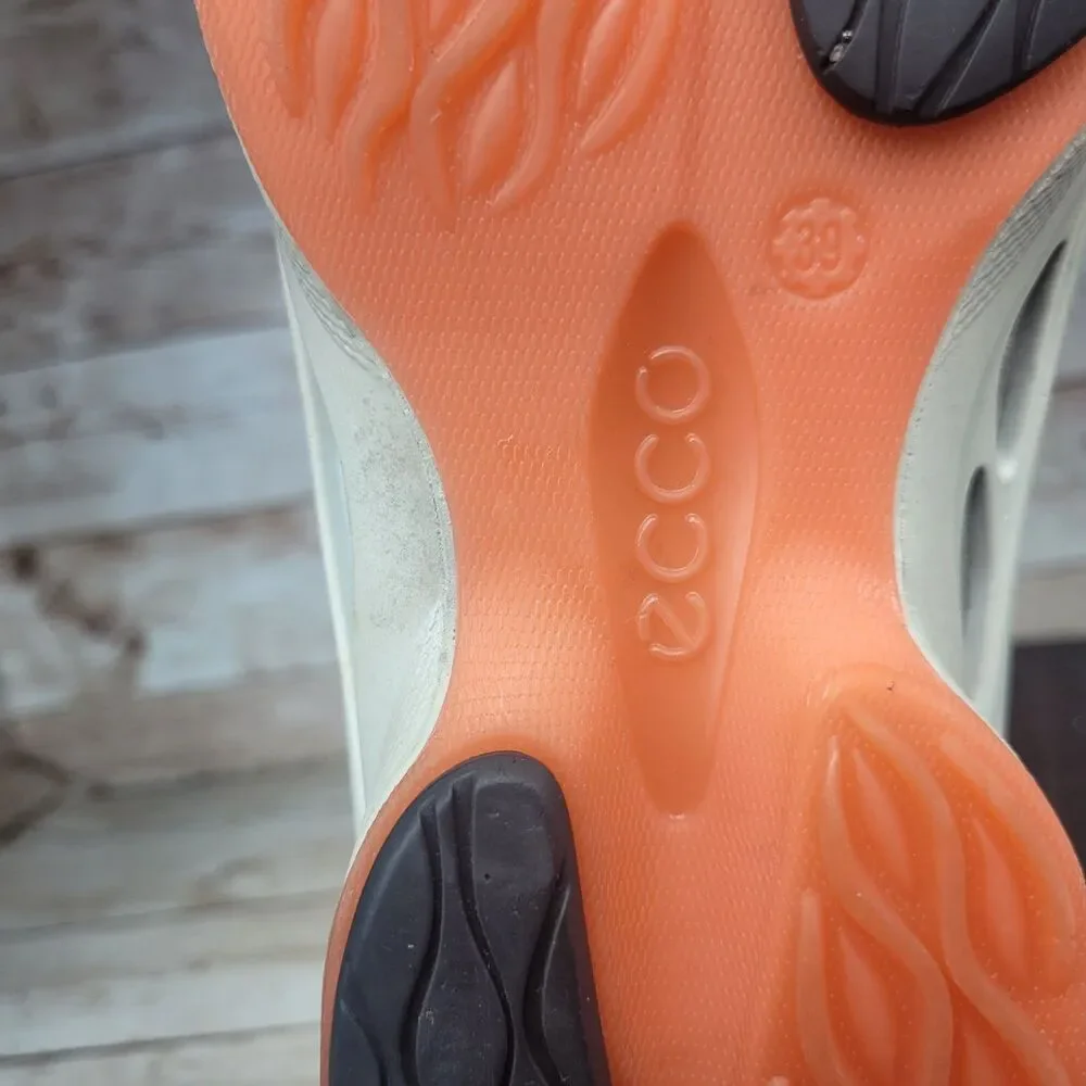 Ecco fresh clean